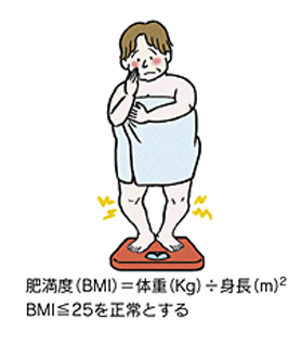 肥満度BMIイメージイラスト