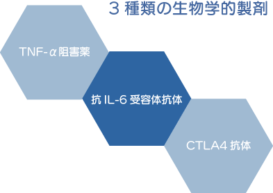3種類の生物学的製剤
TNF-α阻害薬
抗IL-6受容体抗体
CTLA4抗体